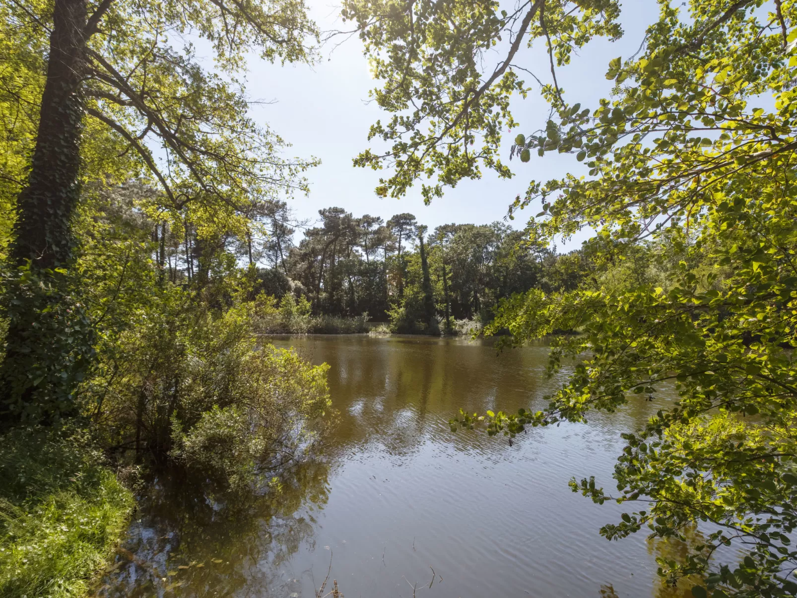 Parc de la Résidence-Outside