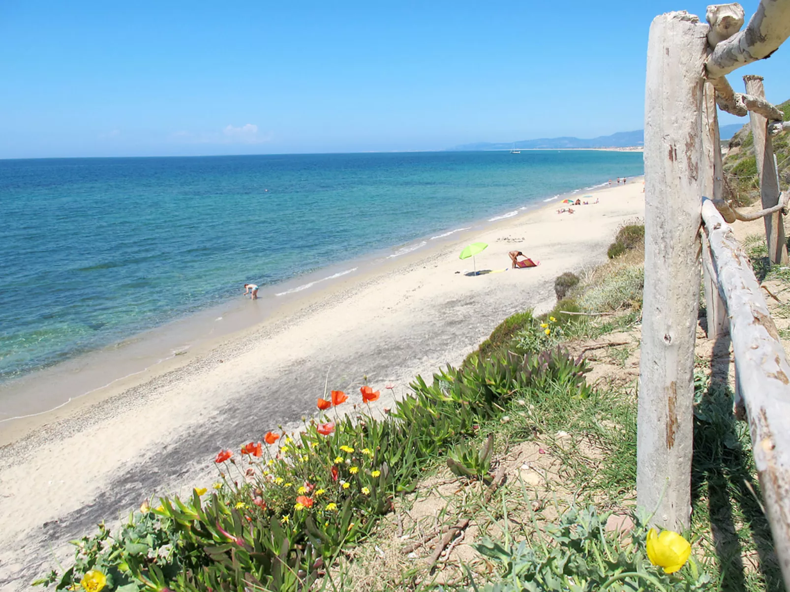 Alta Marea-Area
