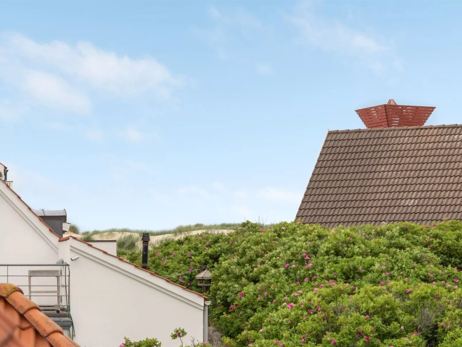 "Riki" - 150m from the sea-Outside