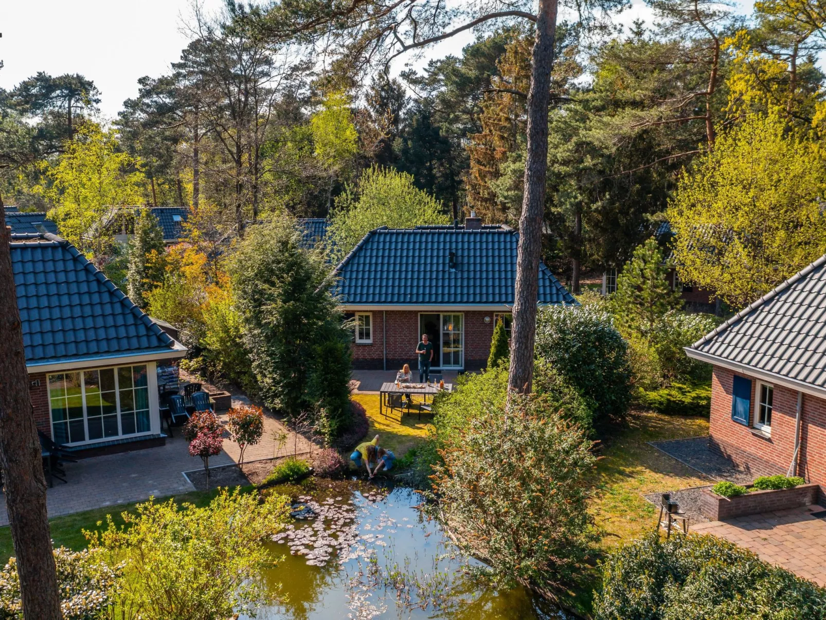 Forest Lodge 4-Outside