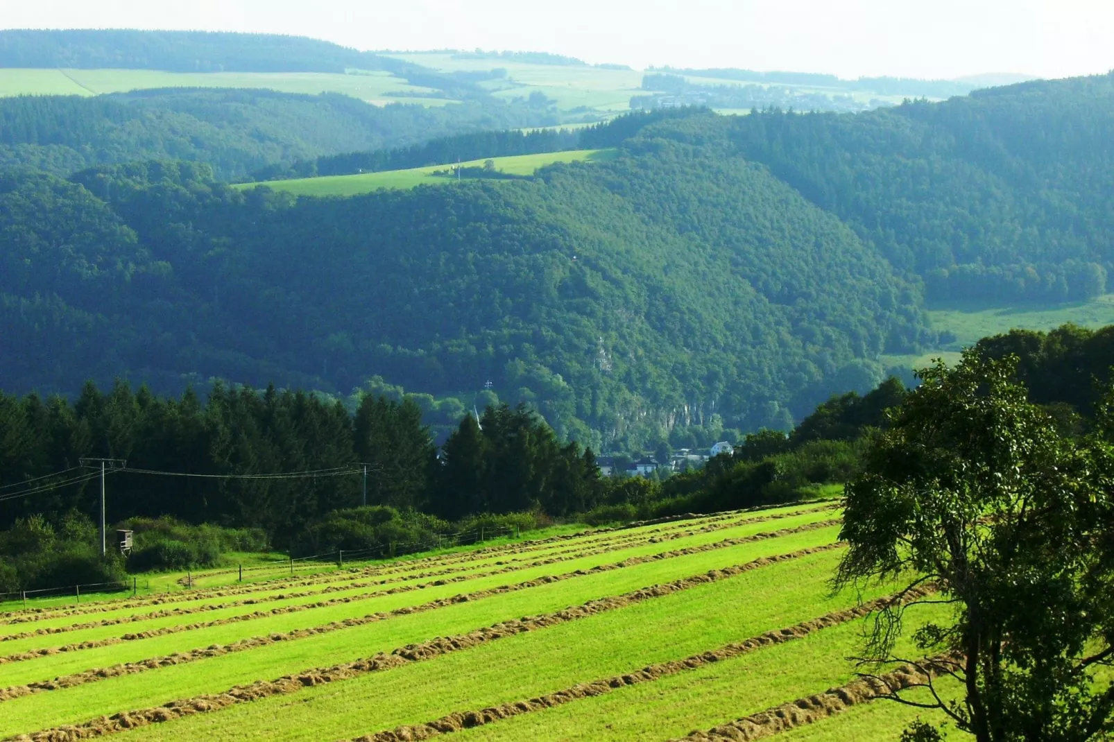 Zur Schöne Aussicht-View summer