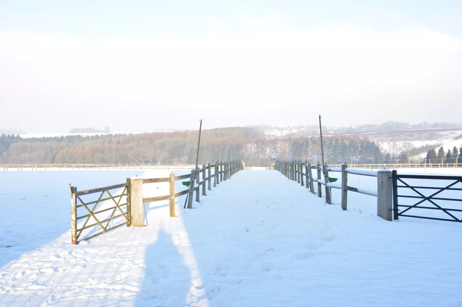 La Cour de Himbe-View winter