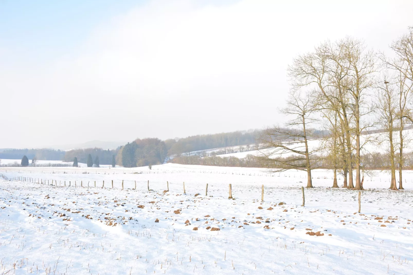 La Cour de Himbe-View winter