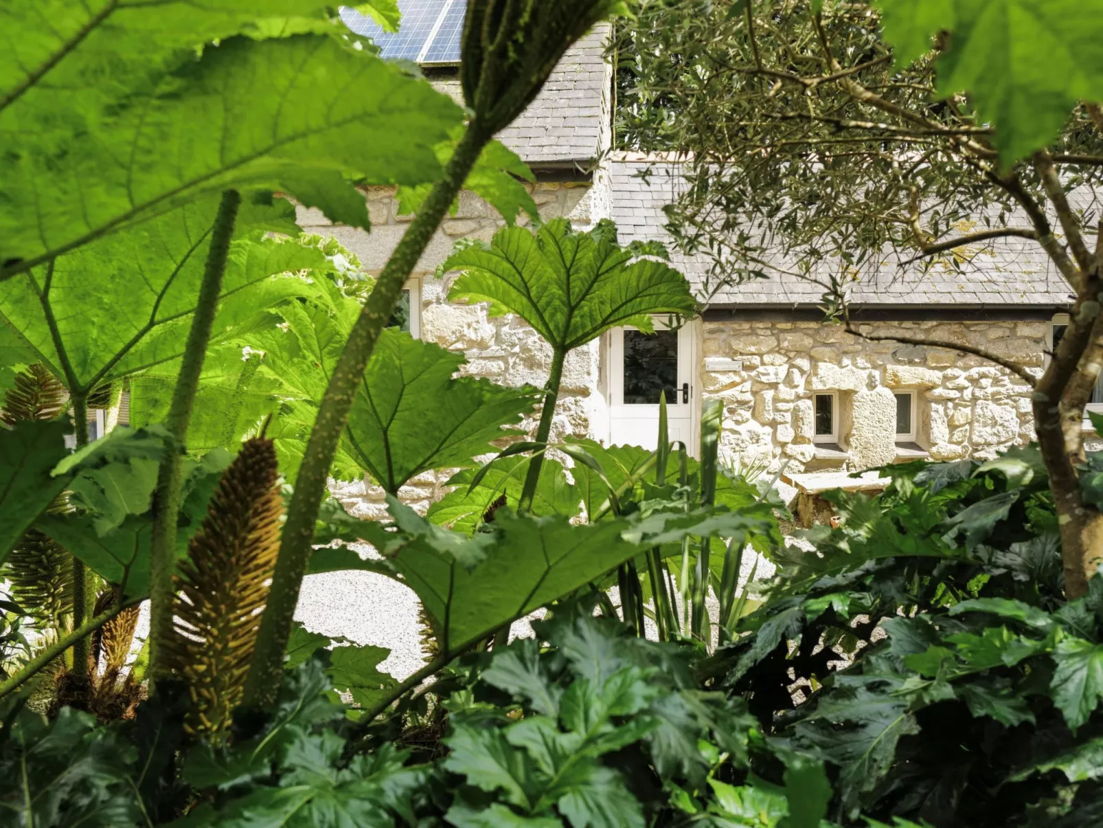 Smugglers Lane-Outside