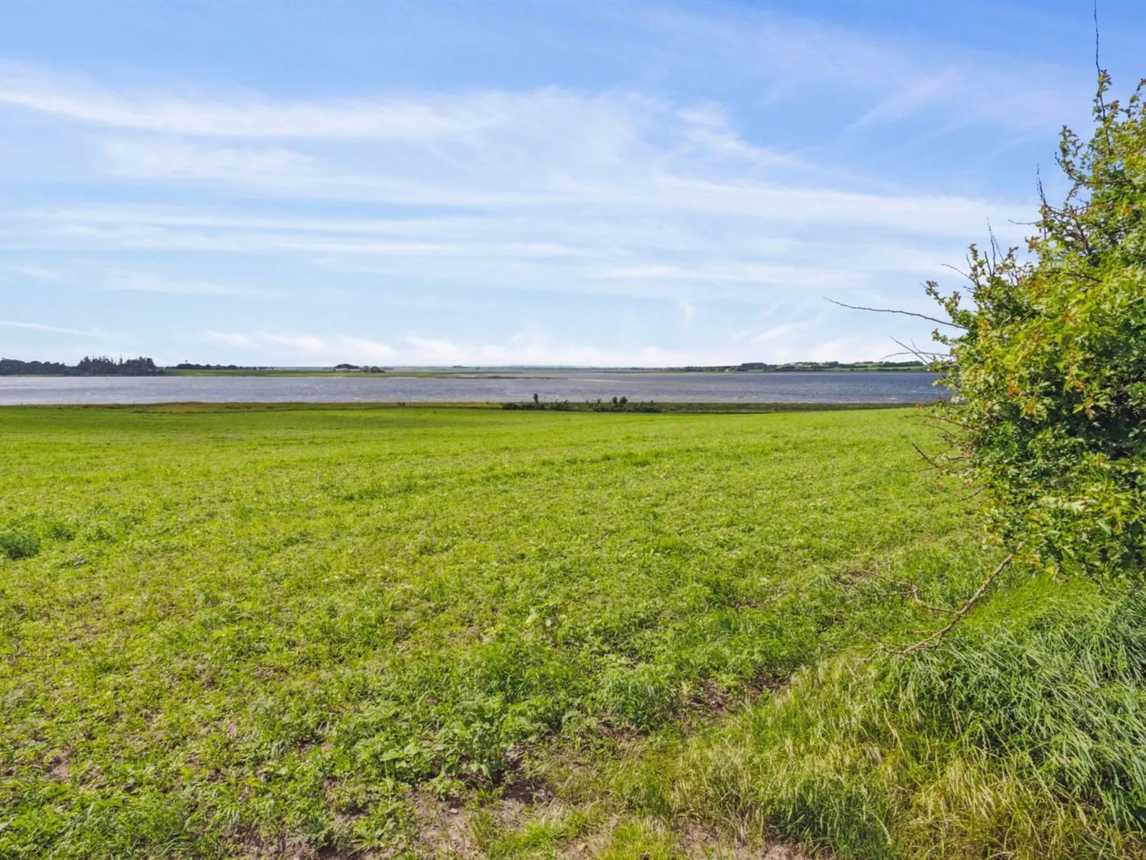 "Månviva" - 150m to the inlet-Outside