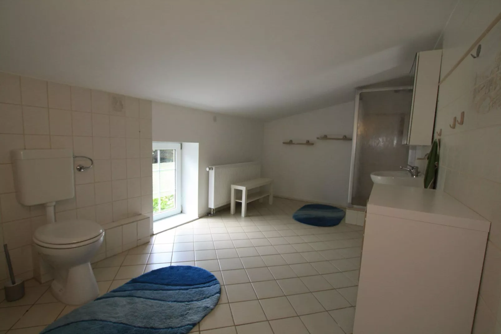 Ferienhaus am Petersdorfer See-Bathroom
