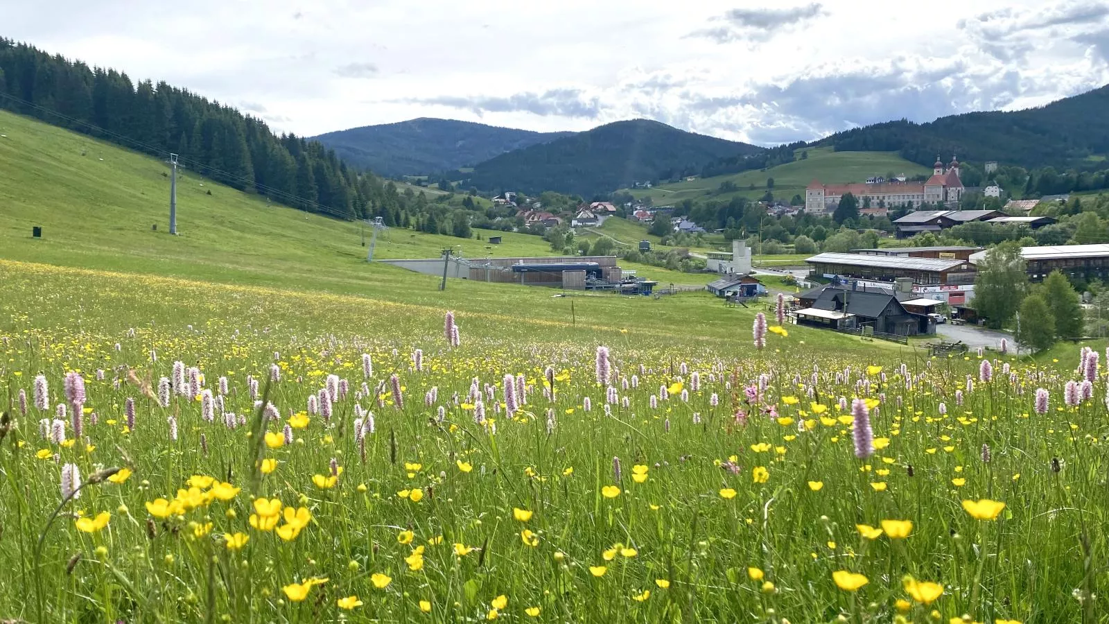 Grebenzen Lodge 1028-Areas summer 1km