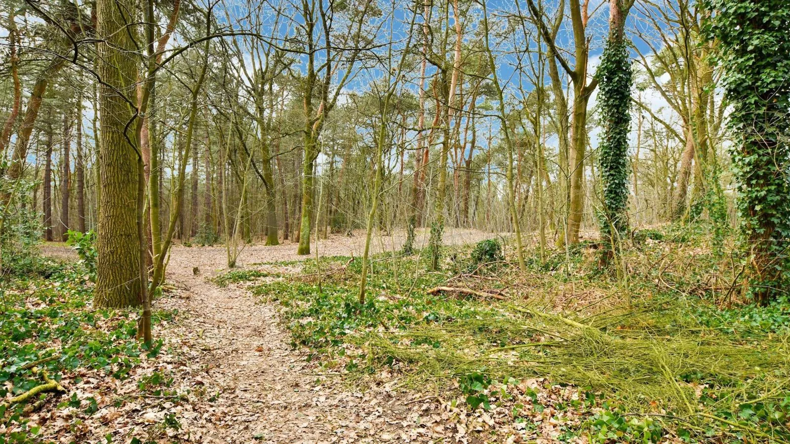 Stille Wille B13-Areas summer 1km