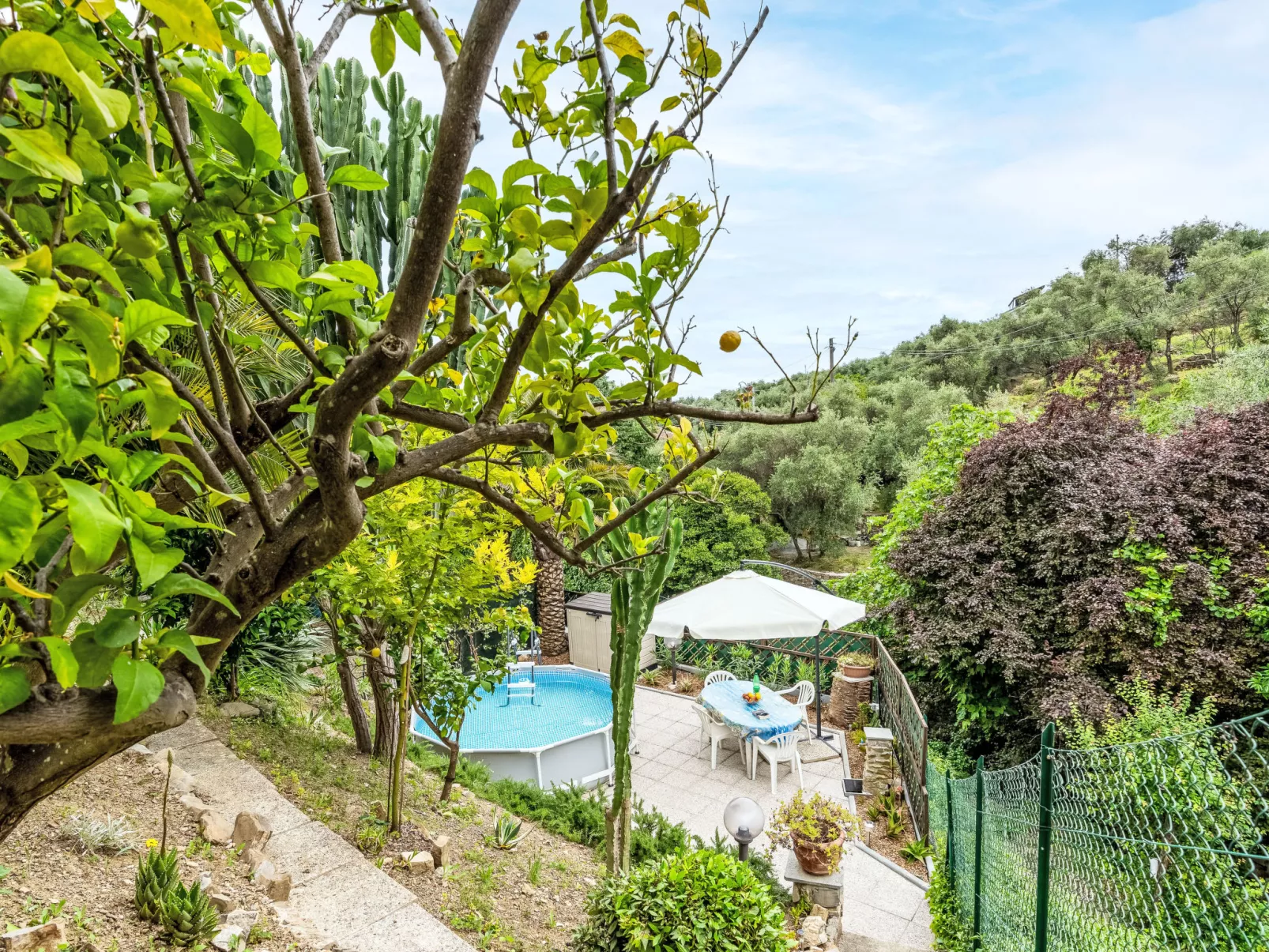 Paradiso tra gli Ulivi-Outside