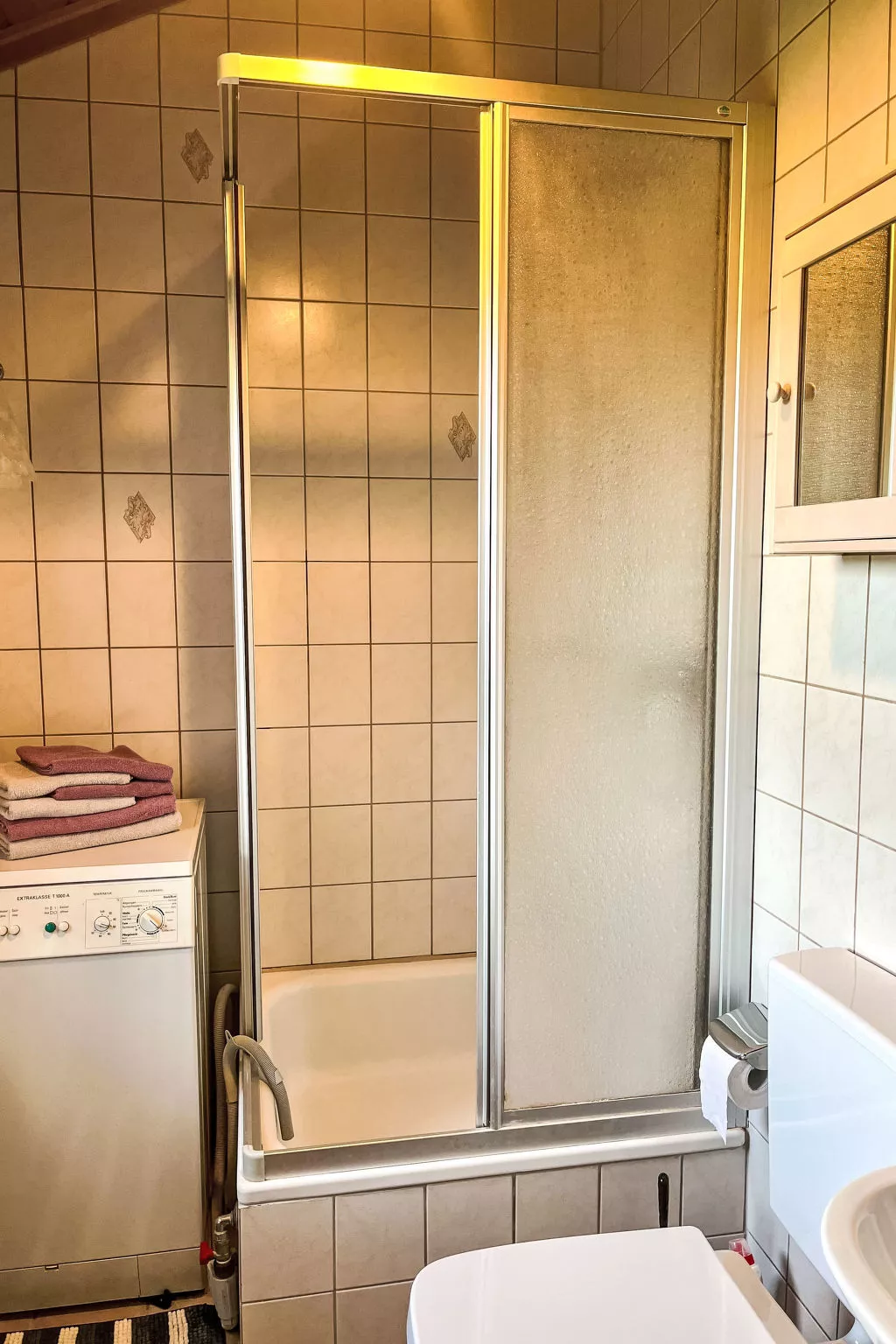 Löwenzahn-Inside