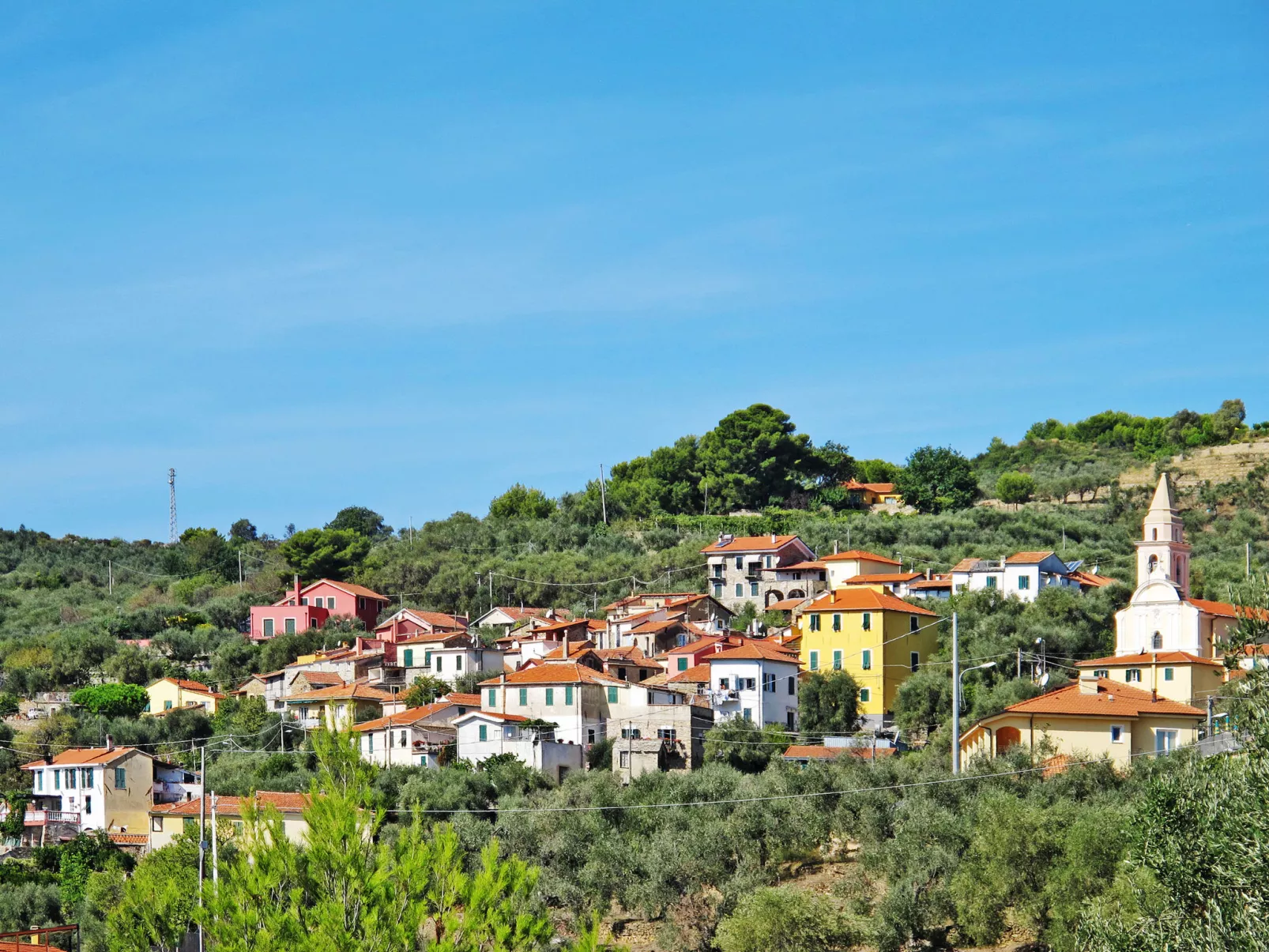 Francesca-Area