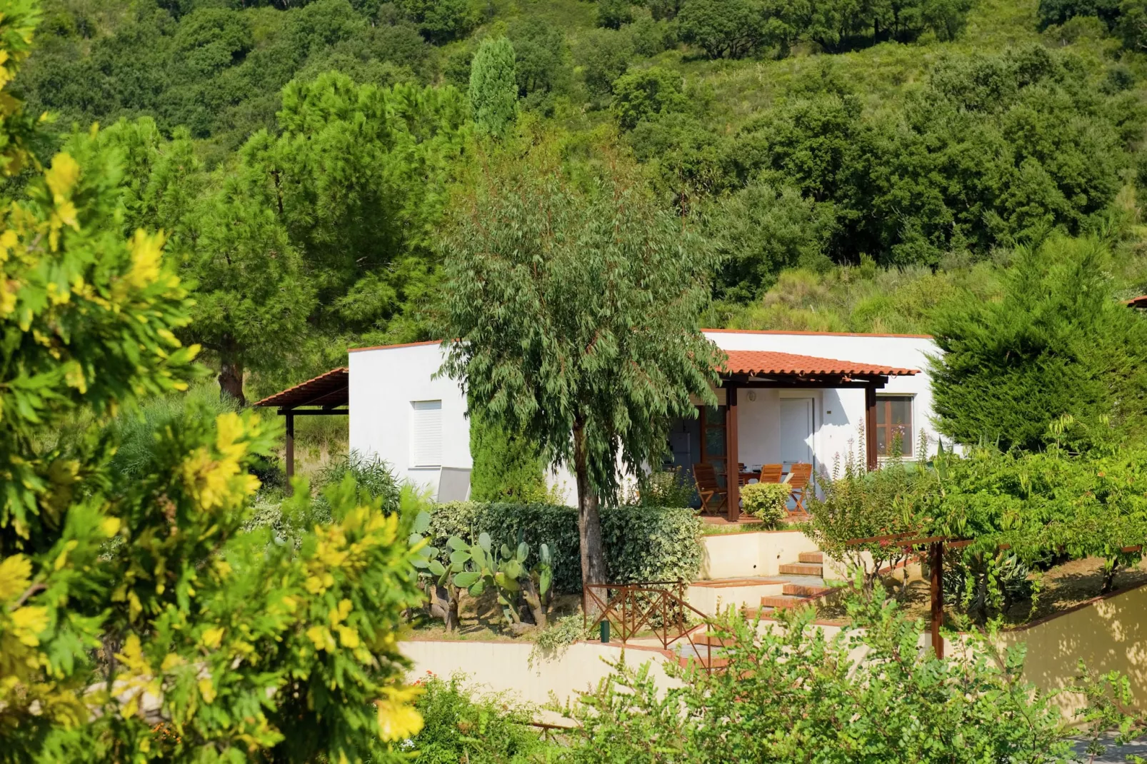 Casa Gialla-Exterior summer