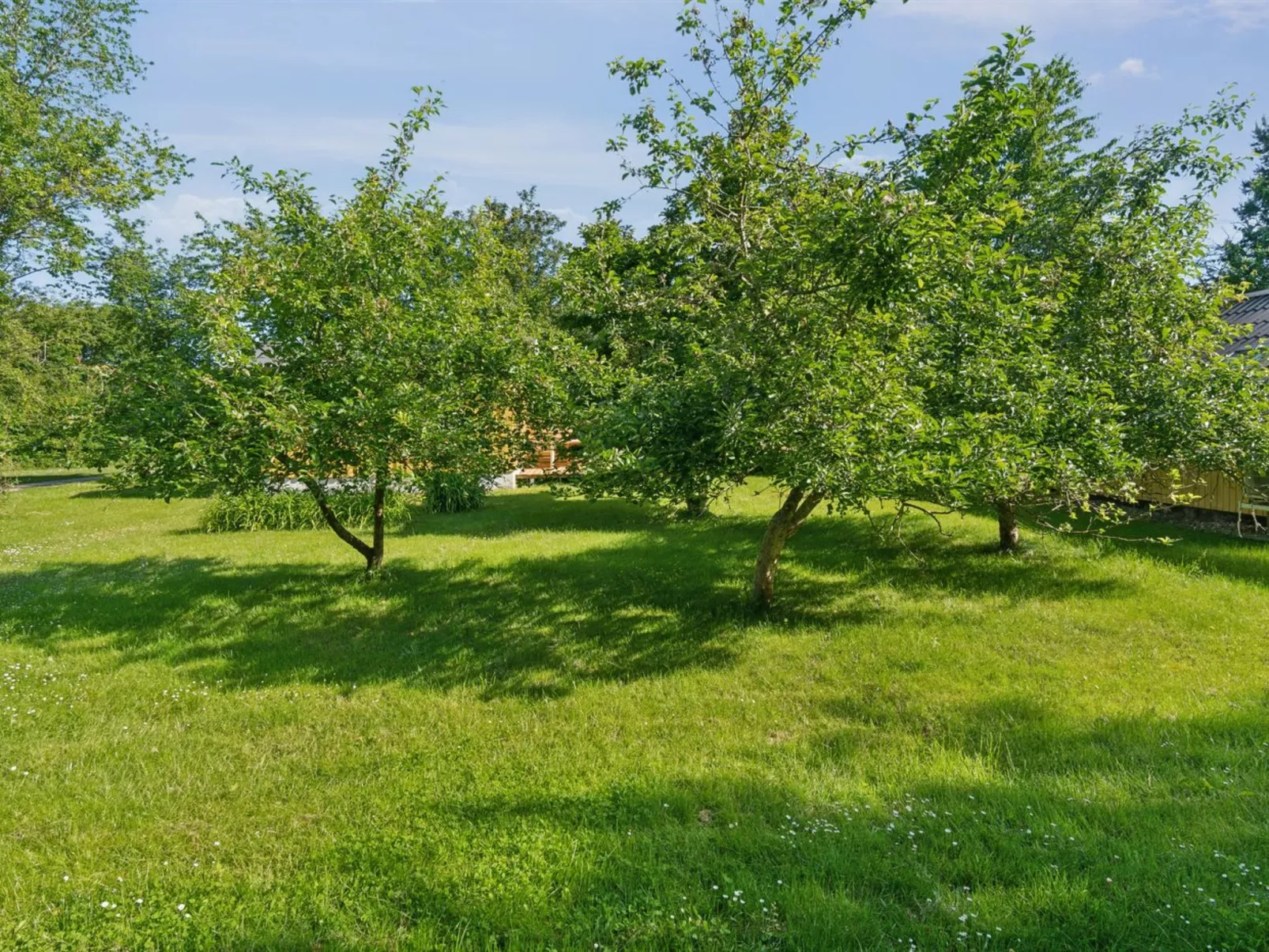 "Lennart" - 4km from the sea-Draußen