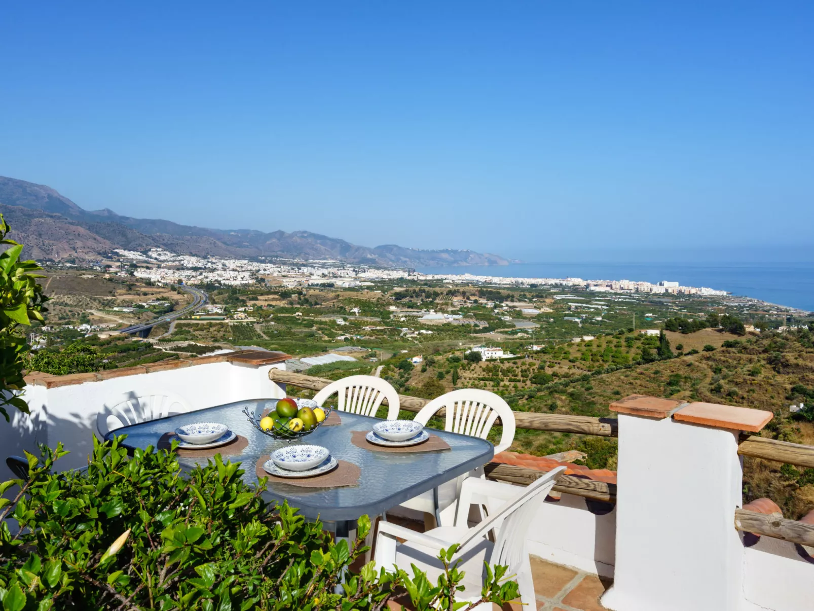 Camelia Blanca-Dehors