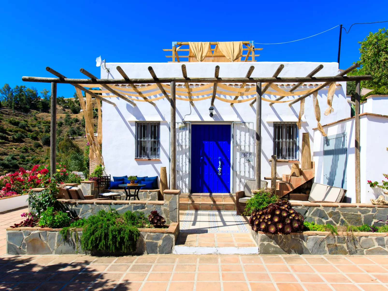 Camelia Blanca-Dehors