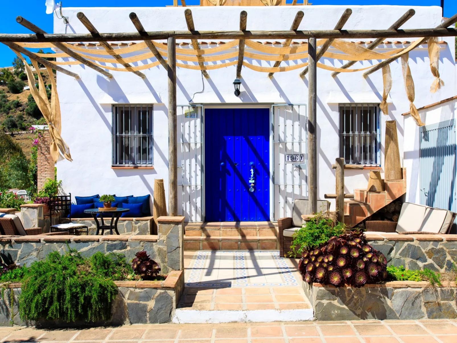 Camelia Blanca-Dehors