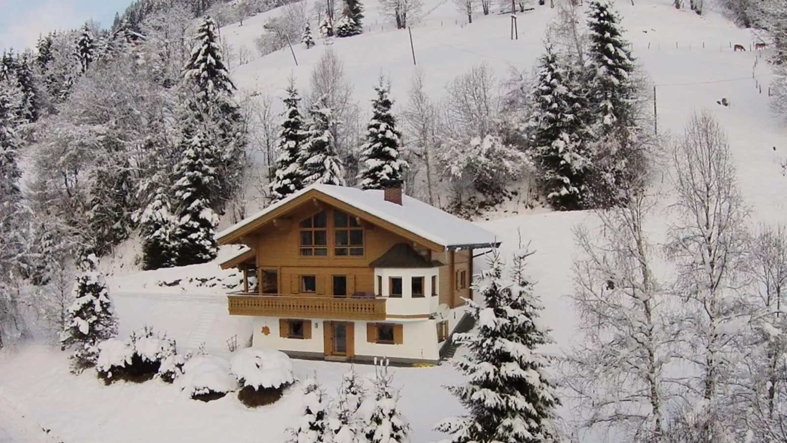 Chalet Huski Viehhofen-Exterior winter