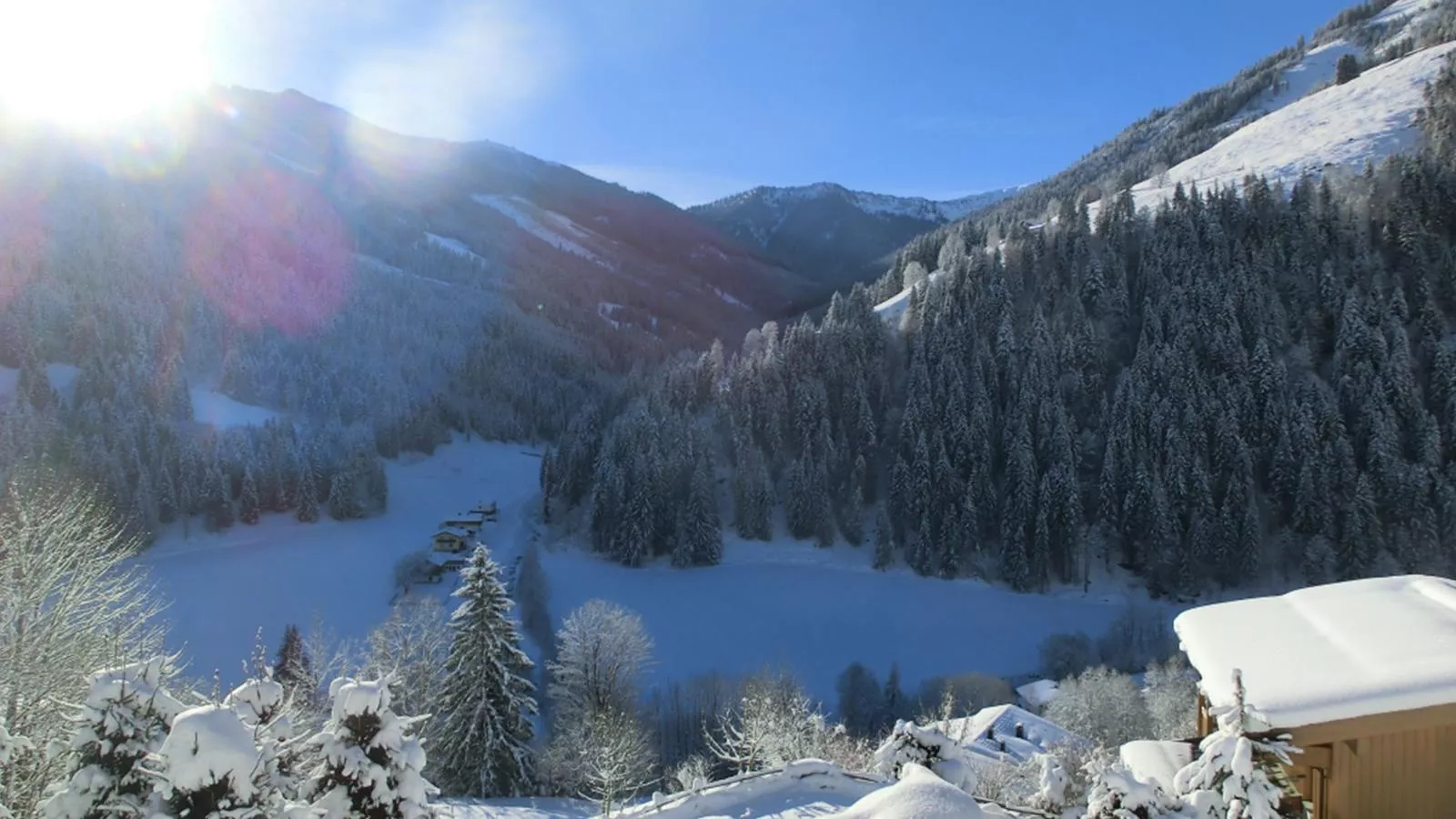 Chalet Huski Viehhofen-View winter