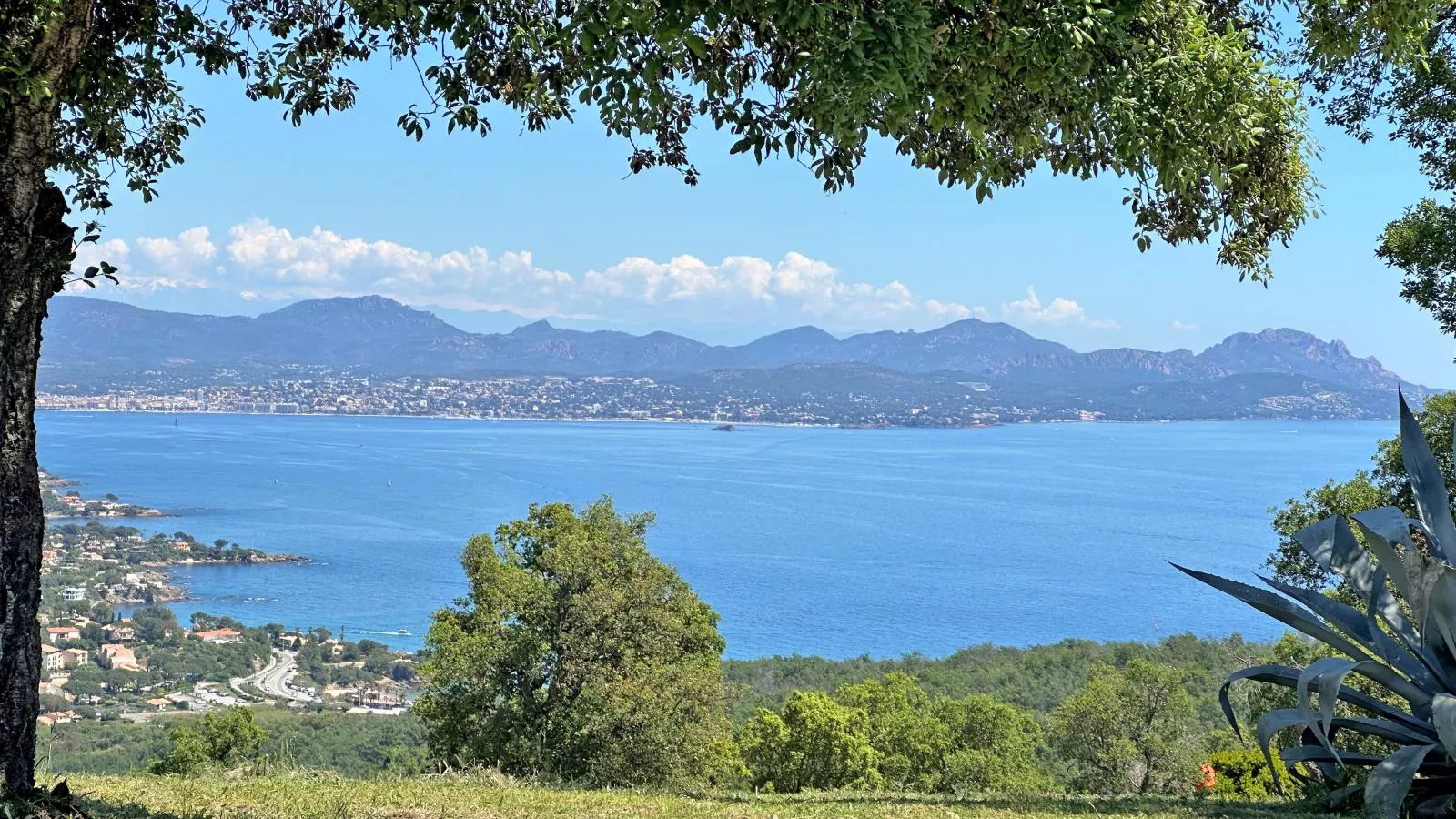 Lessix-Areas summer 1km