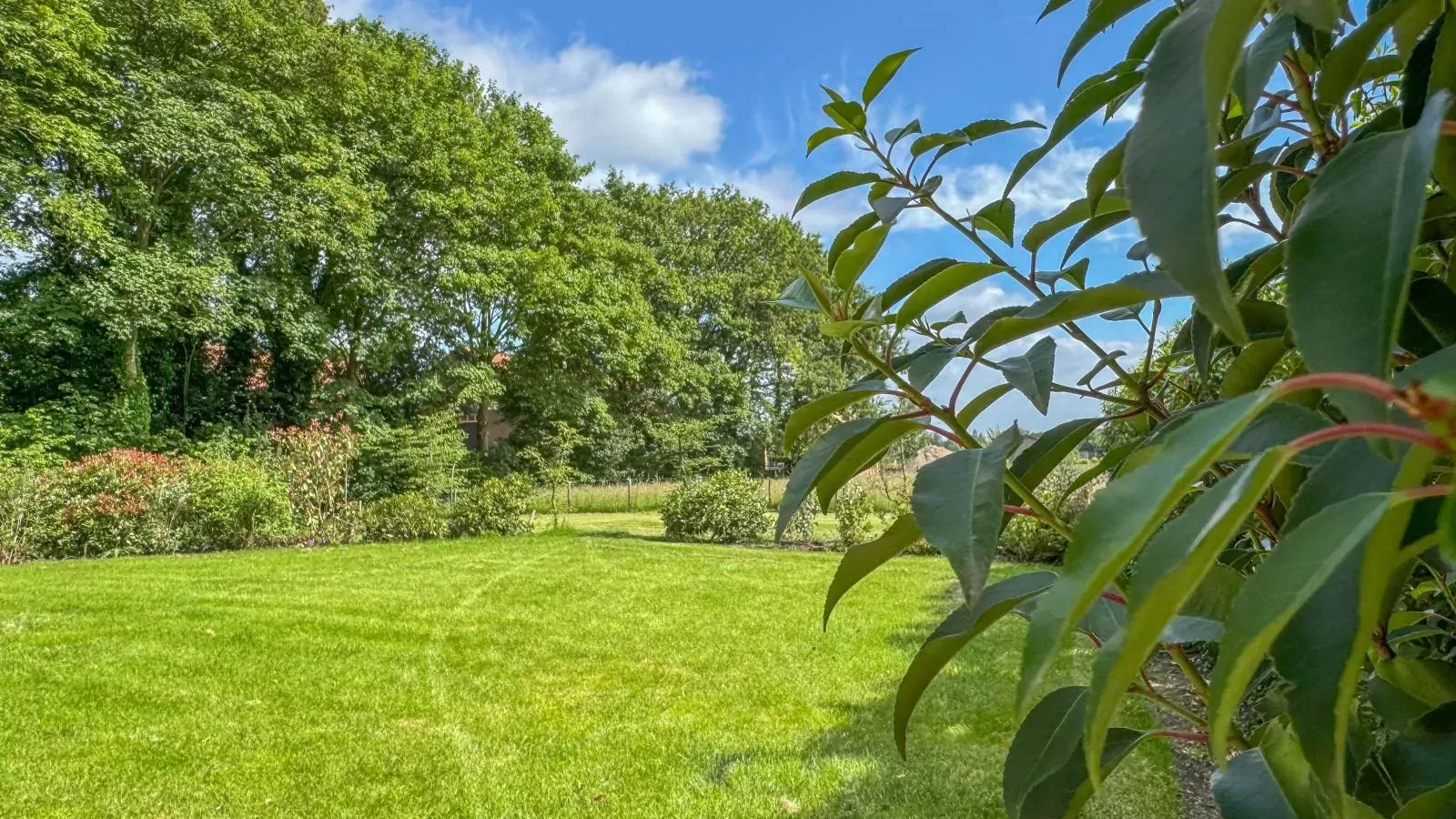 Het Hoevehuys-Gardens summer