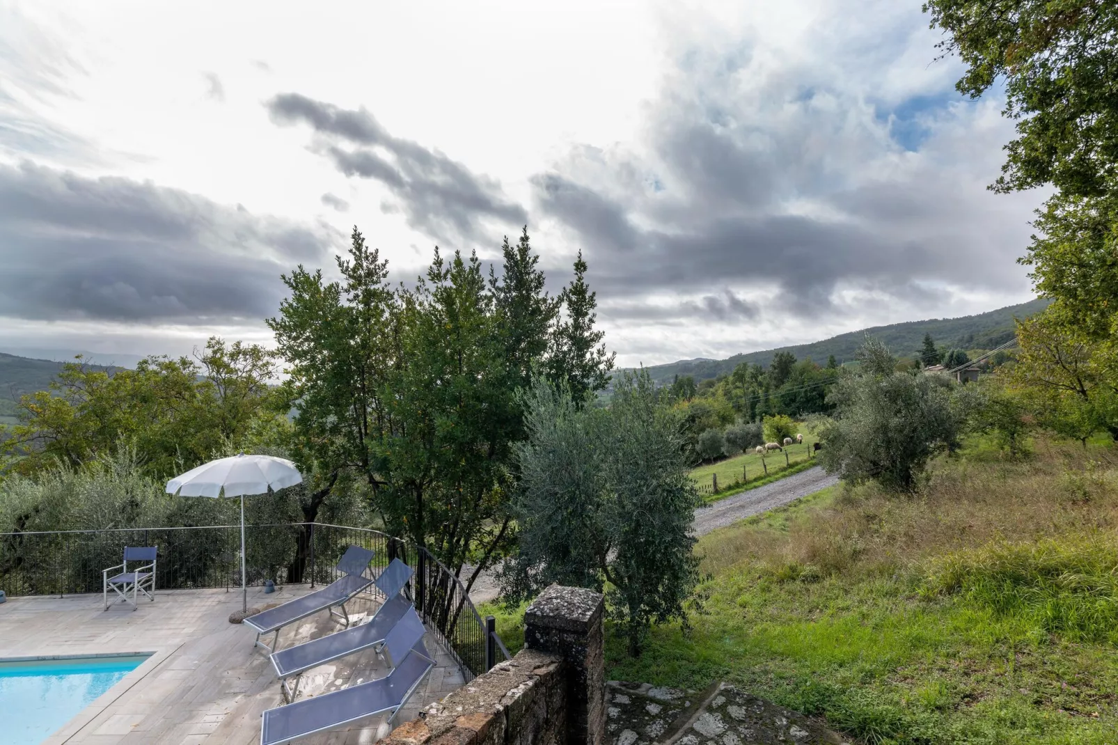 Casina-Gebiete Sommer 1 km