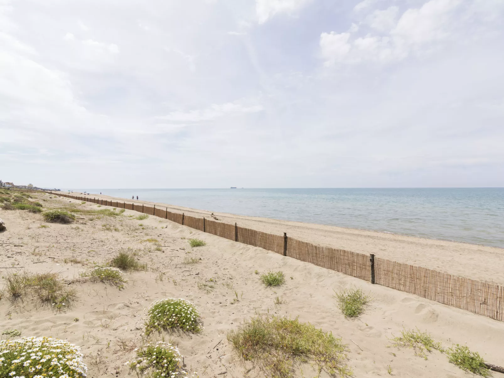 Rome's Beach House 1-Outside