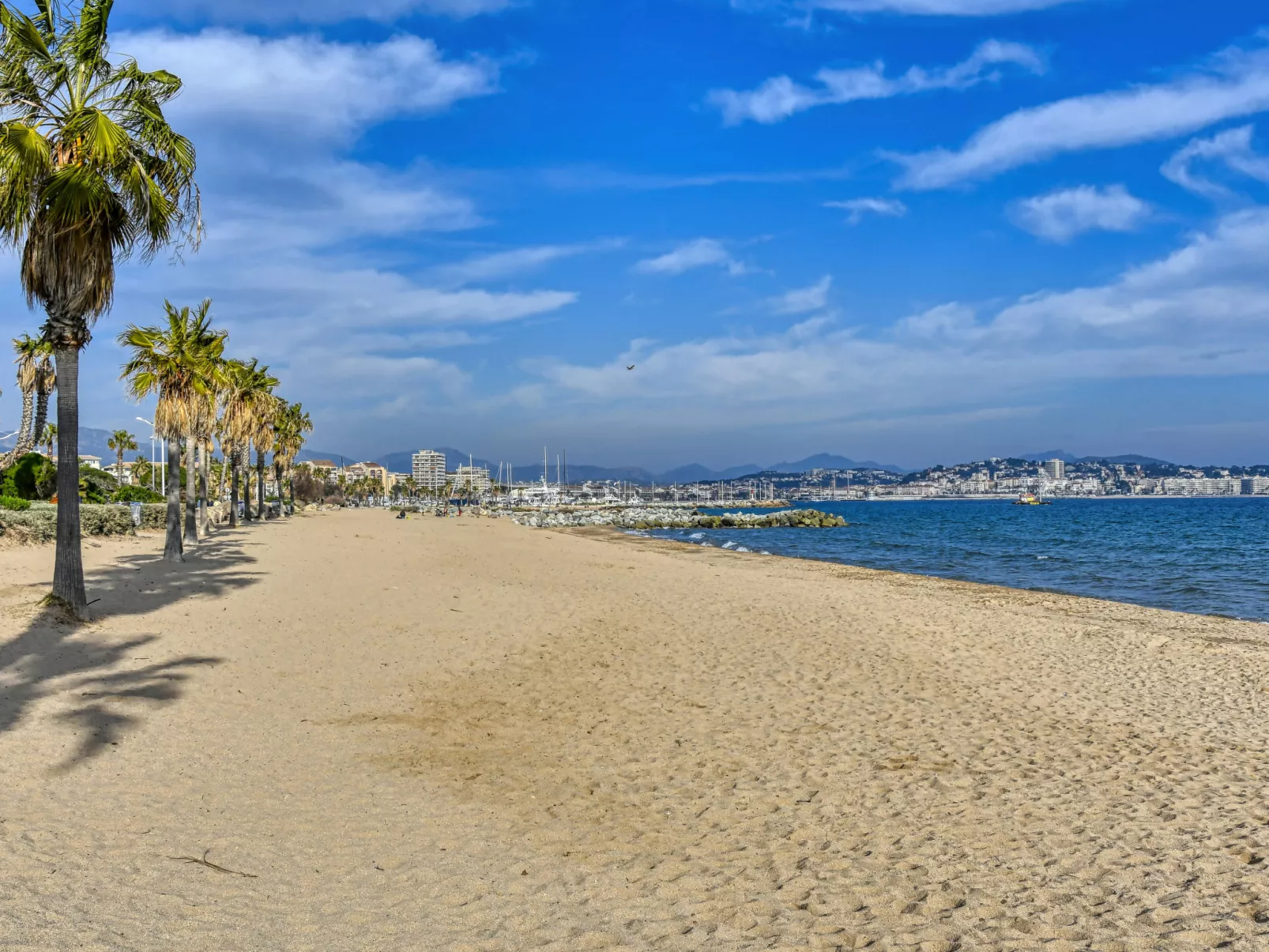 Le Newport-Area