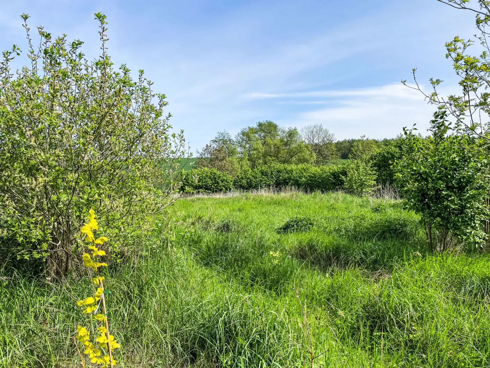 Eschengrund-Outside