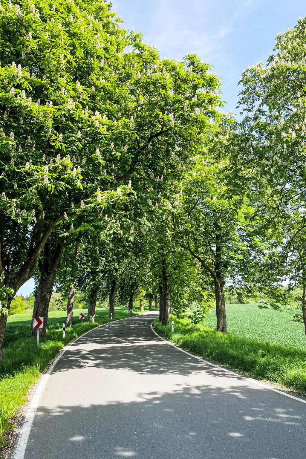 Eschengrund-Outside
