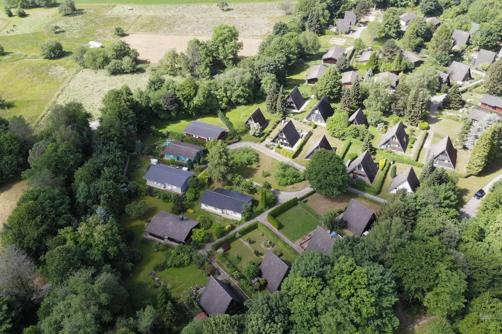 Feriendorf Waldbrunn 1-Areas summer 1km