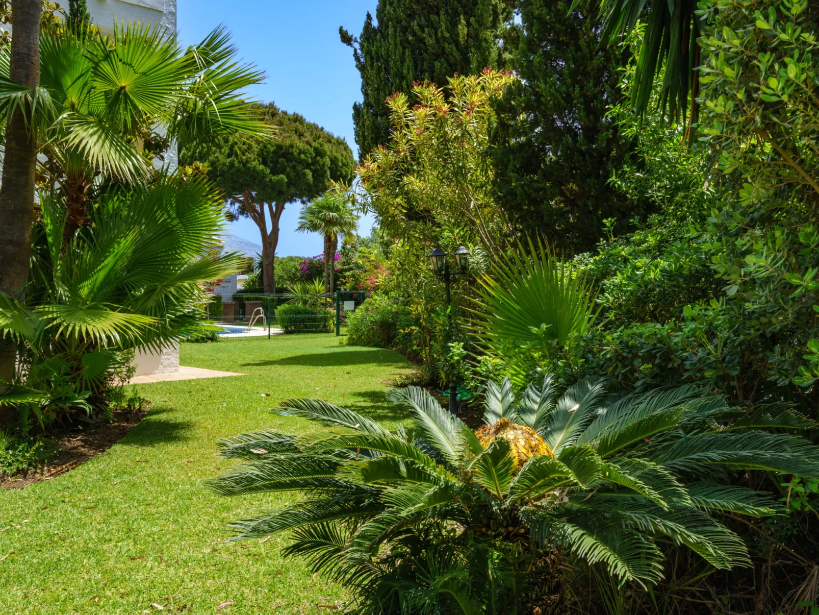 Las Acacias-Outside