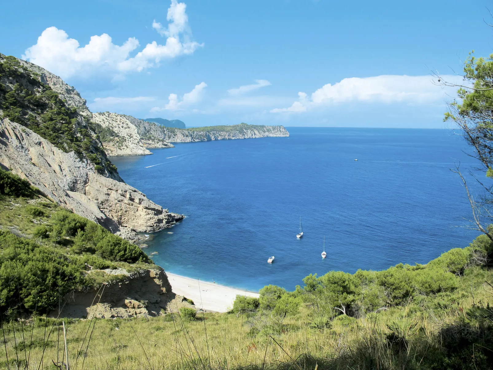 Sa Torre-Area