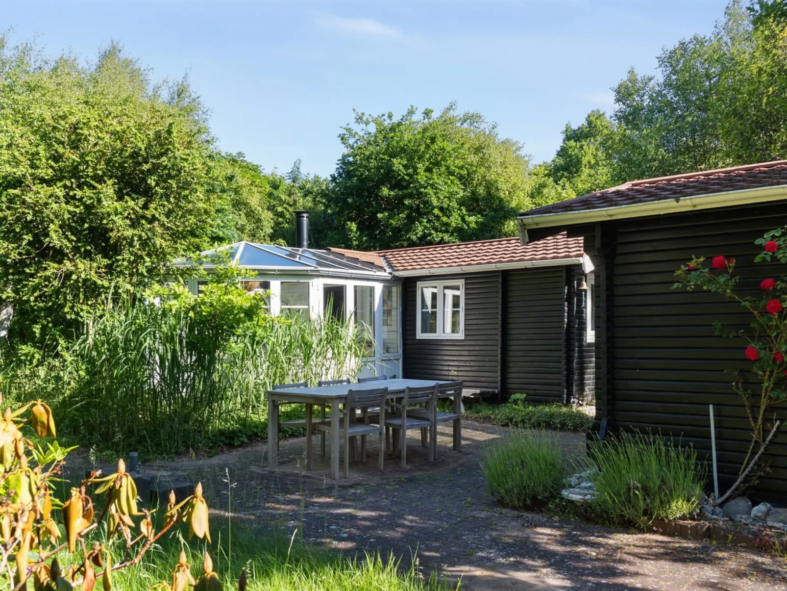 "Fedder" - 650m from the sea-Outside