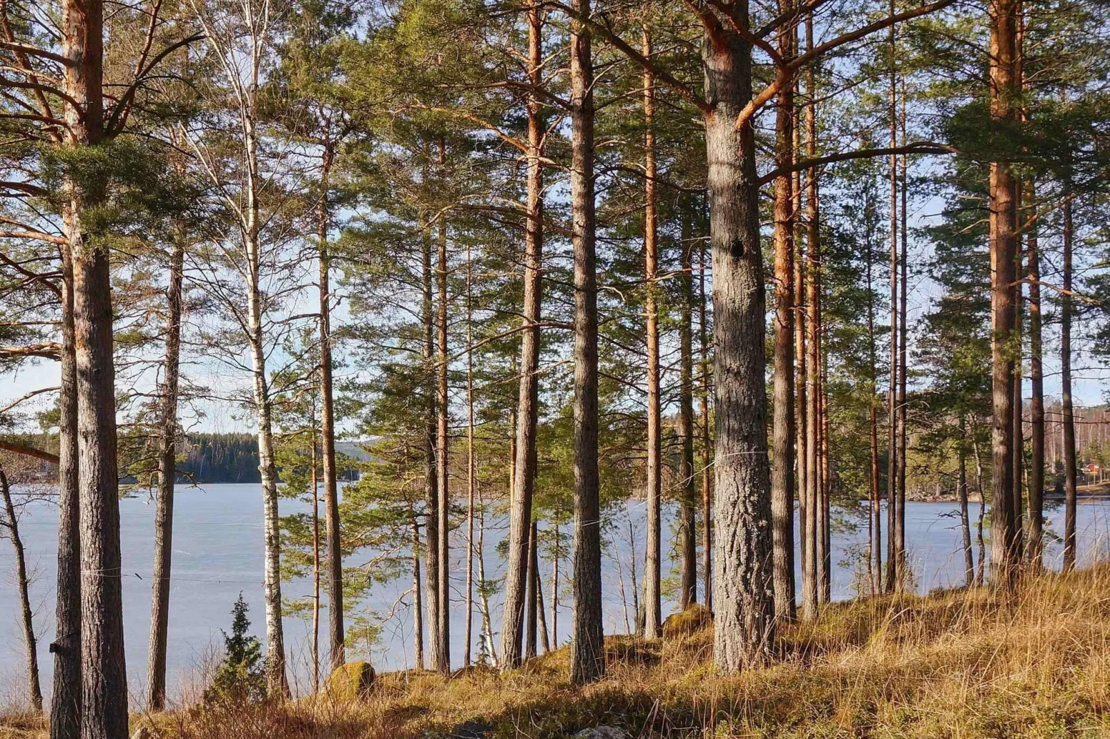 4 person holiday home in ÅRJÄNG-Water view