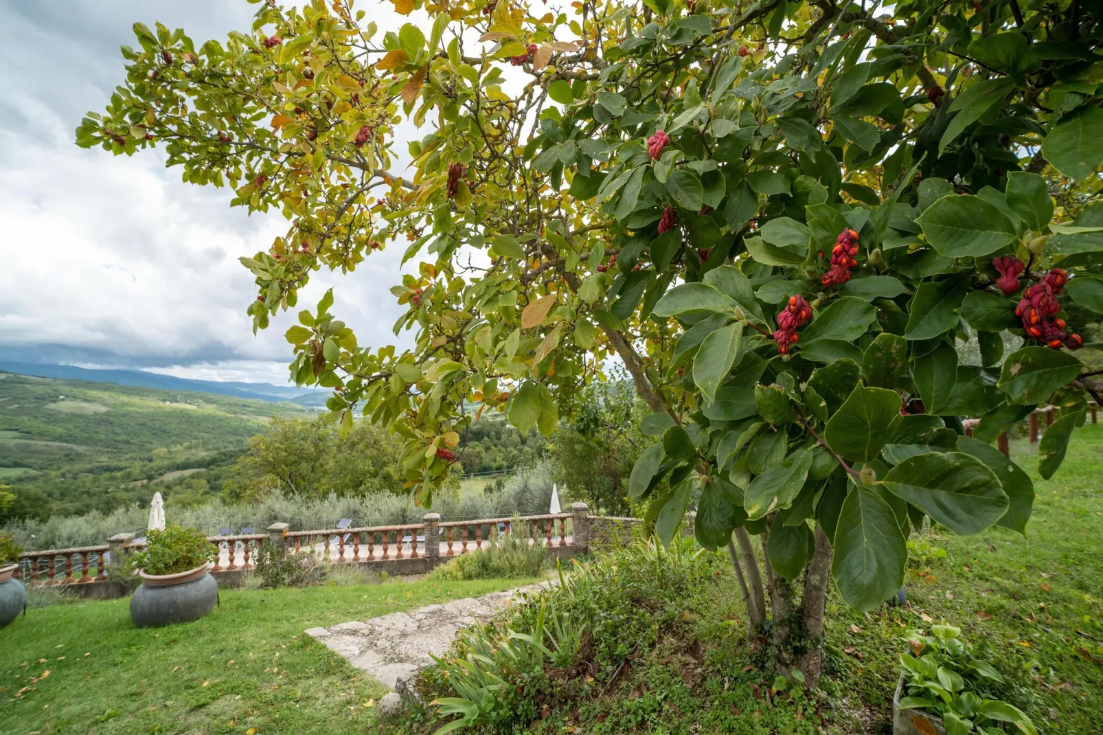 Casina-Gärten Sommer