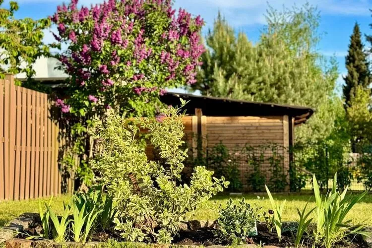 Ferienhaus Havelzeit - 4 Personen-Gardens summer