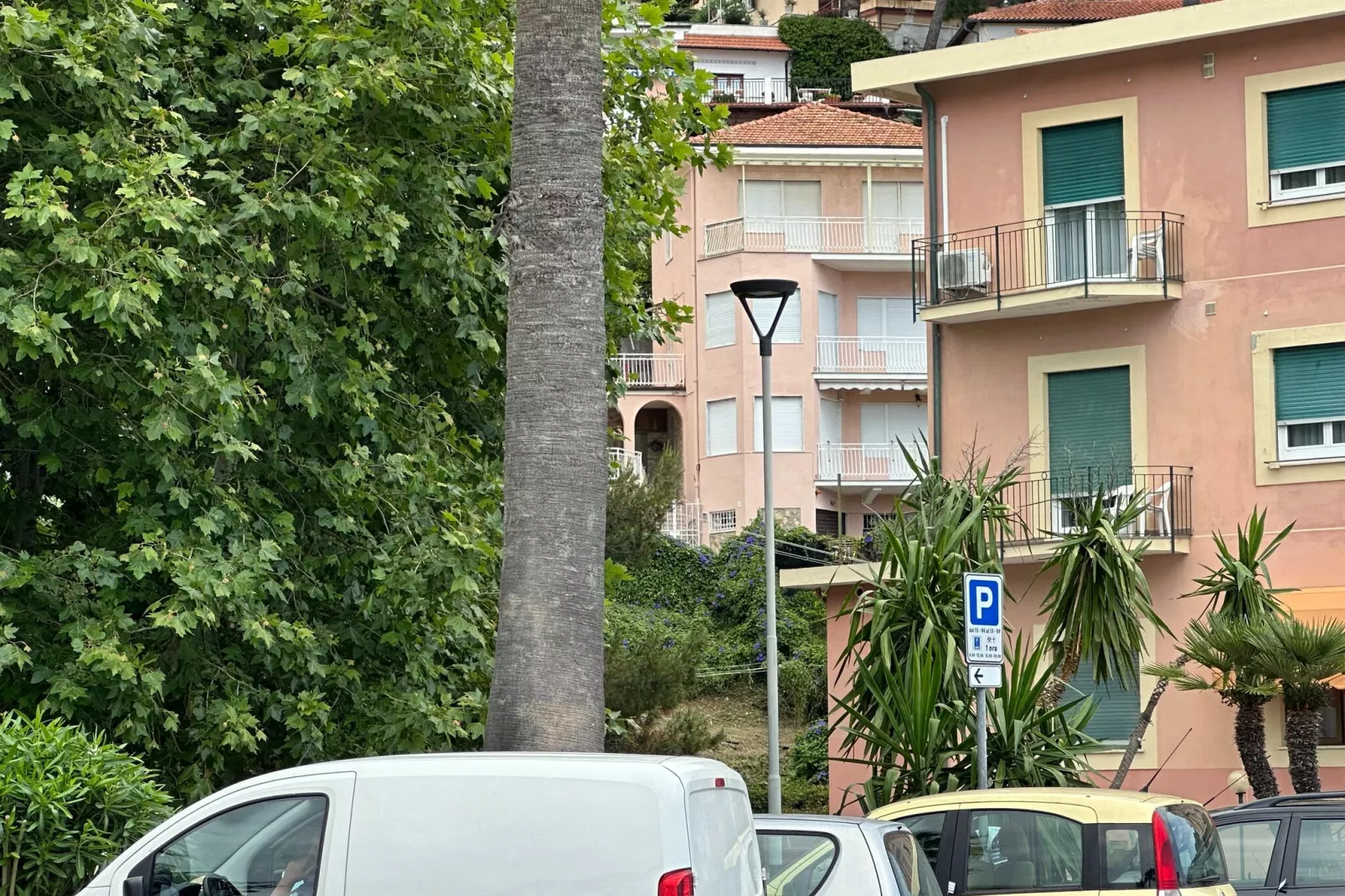 Fiore in testa-Exterior summer