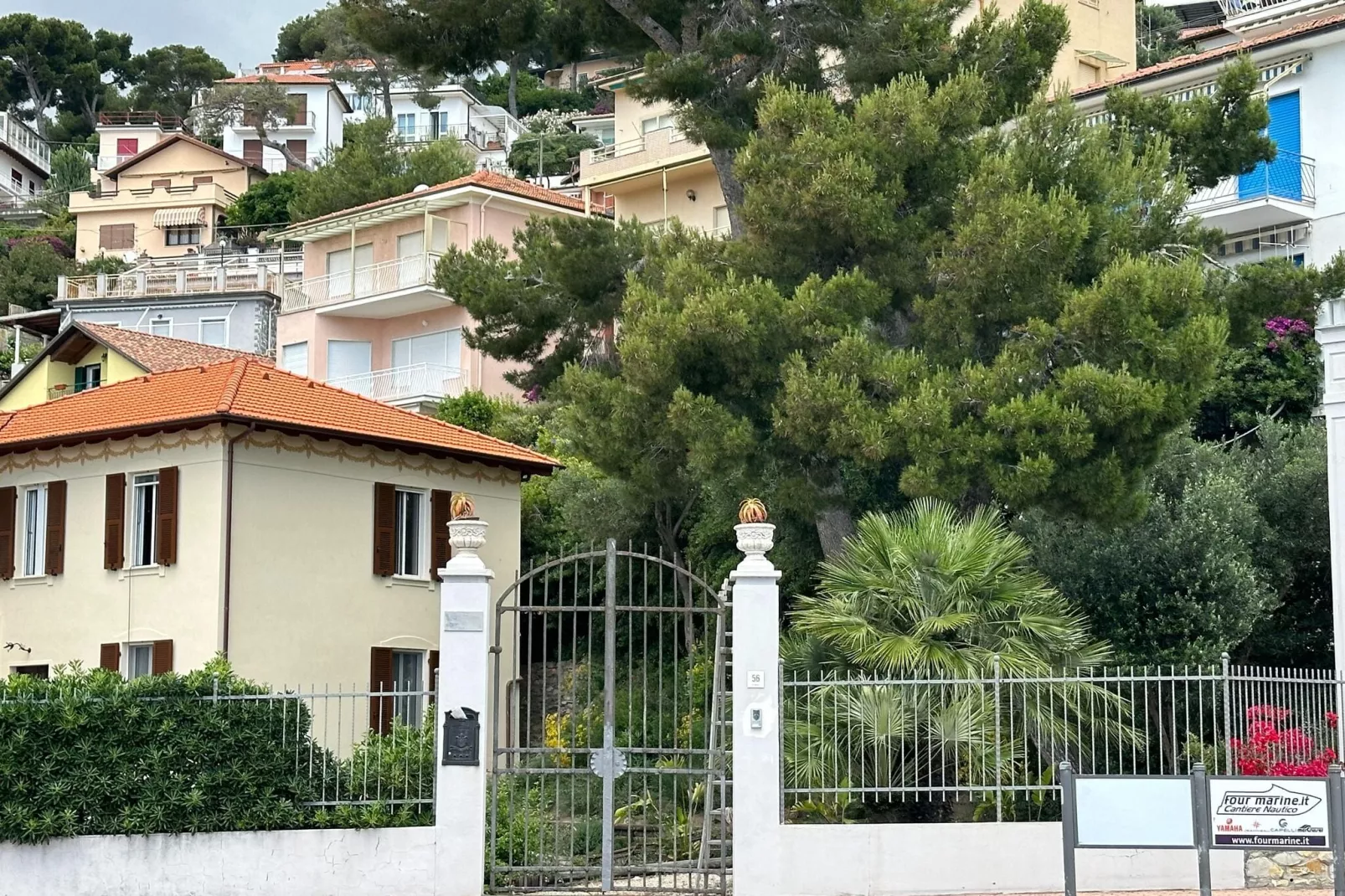 Fiore in testa-Exterior summer