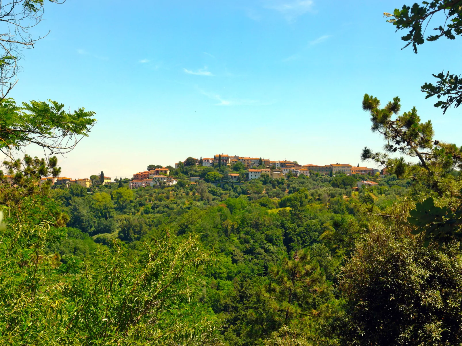 Podere Rasenna-Outside