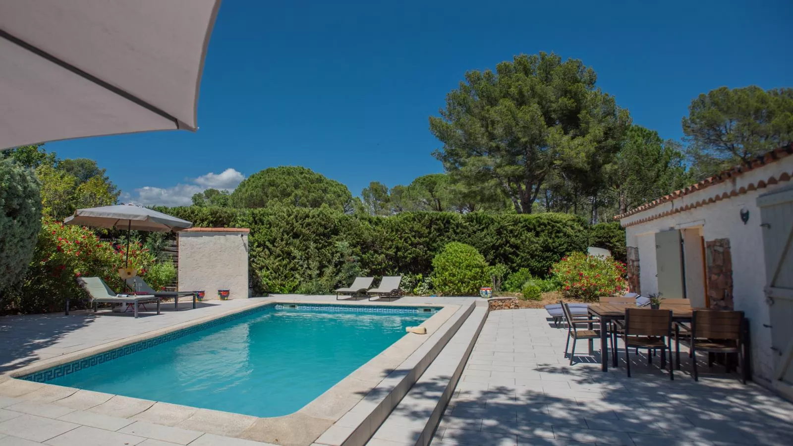 Pin Parasol-Piscine