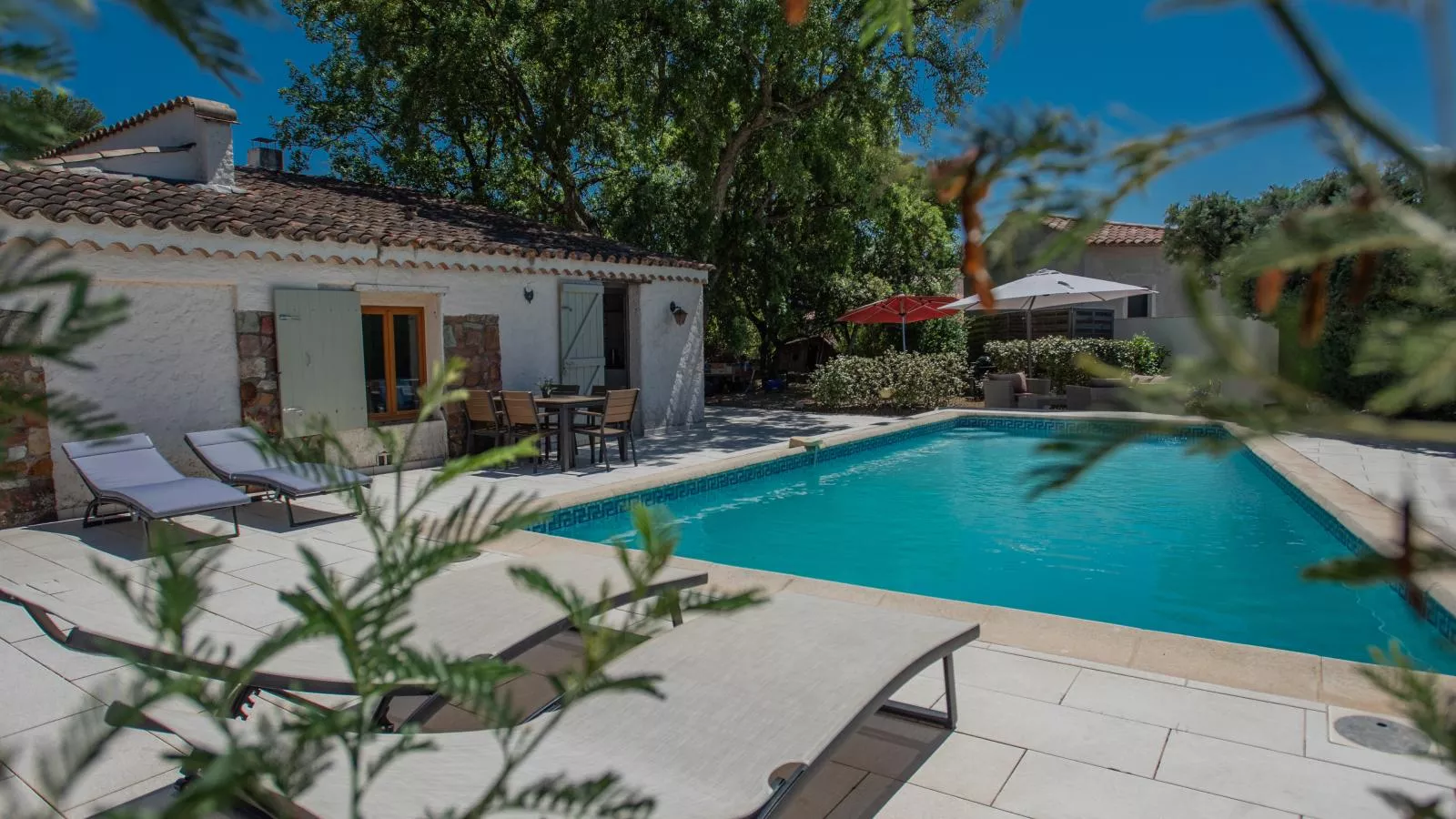 Pin Parasol-Piscine