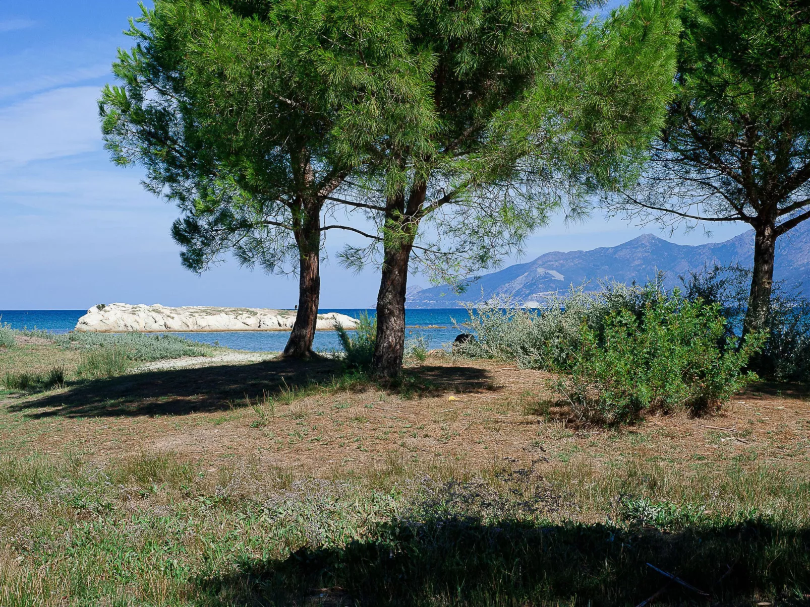 Suarella-Outside