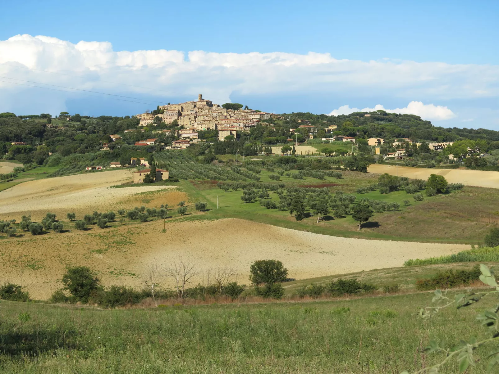 Levanelle-Area