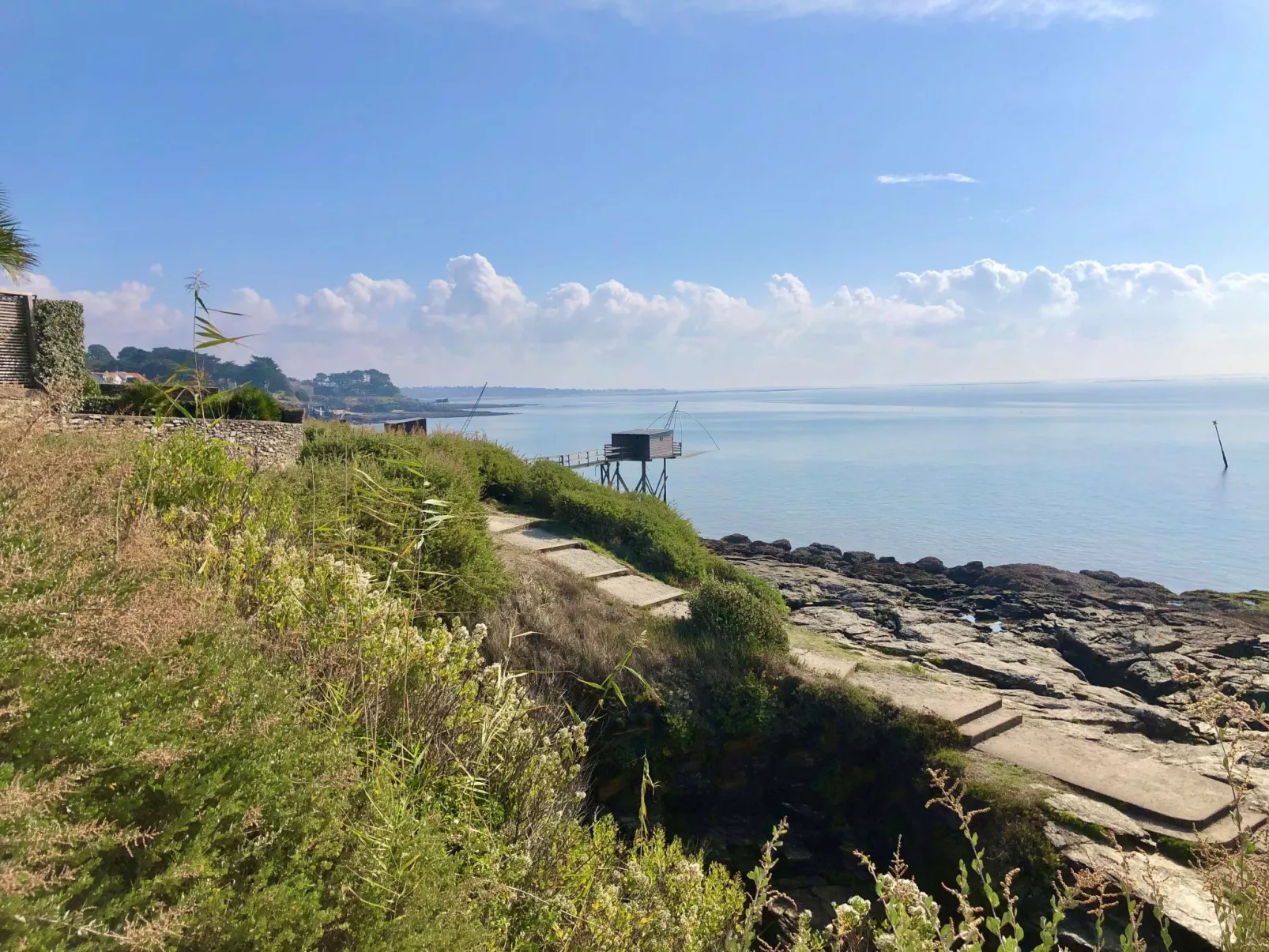 Les Pins-Area