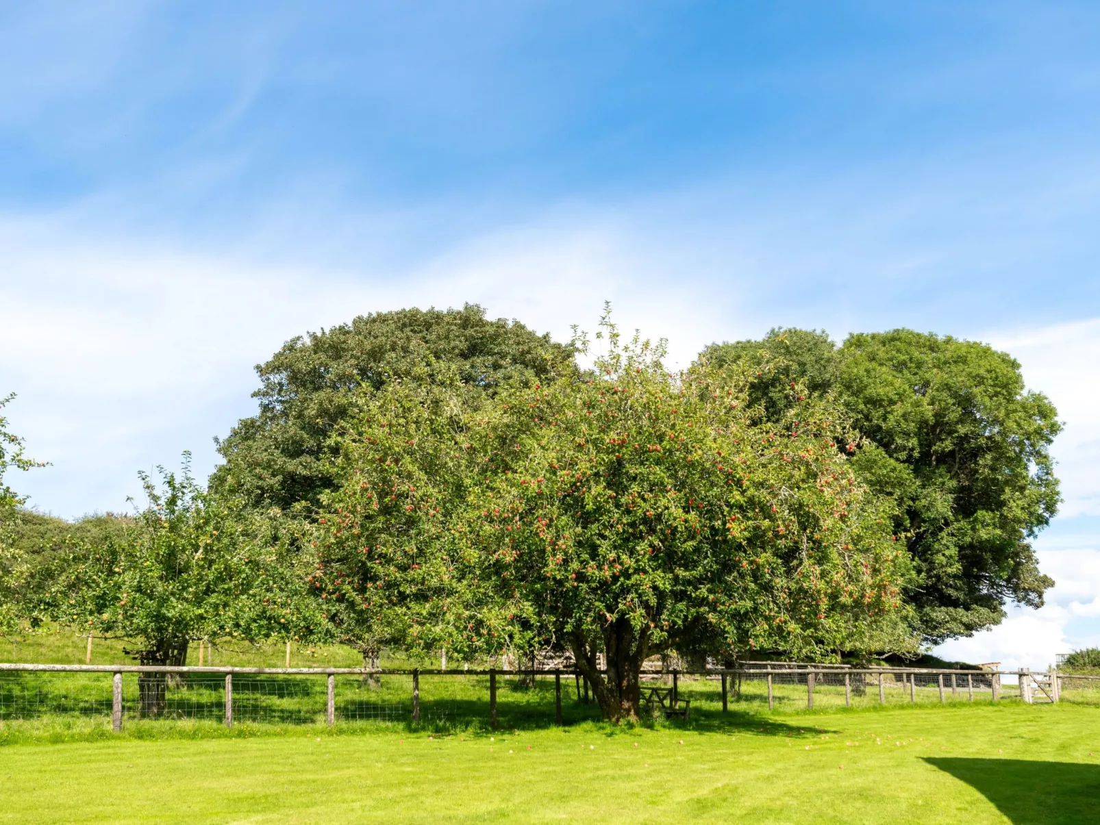 Meadowview Lodge 2-Outside