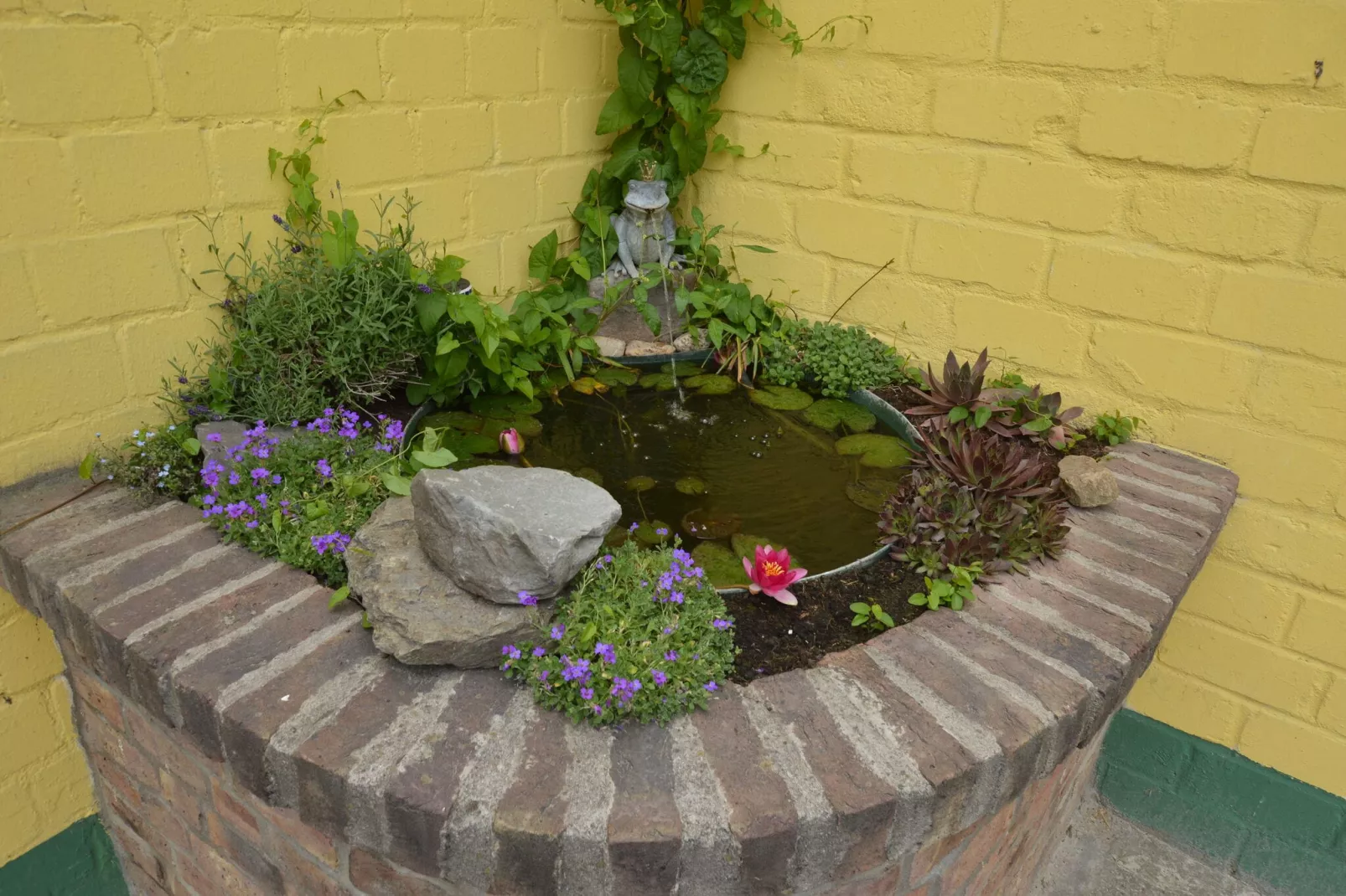 Ferienwohnung am Bauernhof-Gardens summer