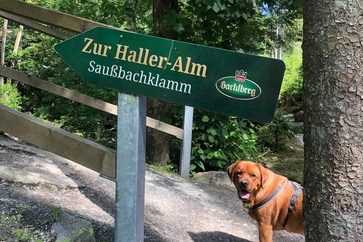 Bayerischer Wald-Areas within 1km in summer