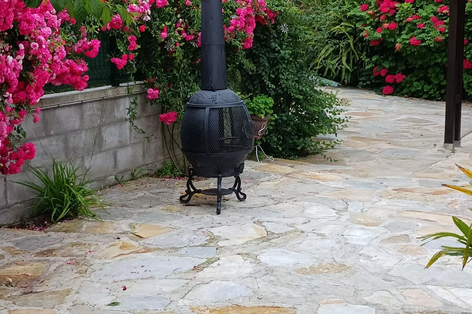The caprice of Ros Mery-Gardens summer