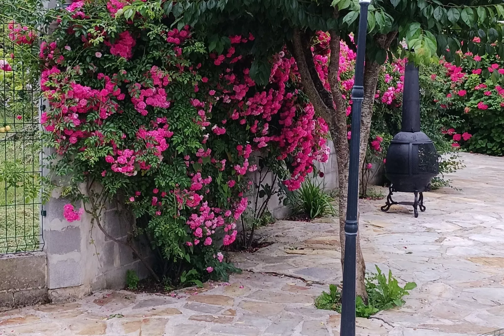 The caprice of Ros Mery-Gardens summer