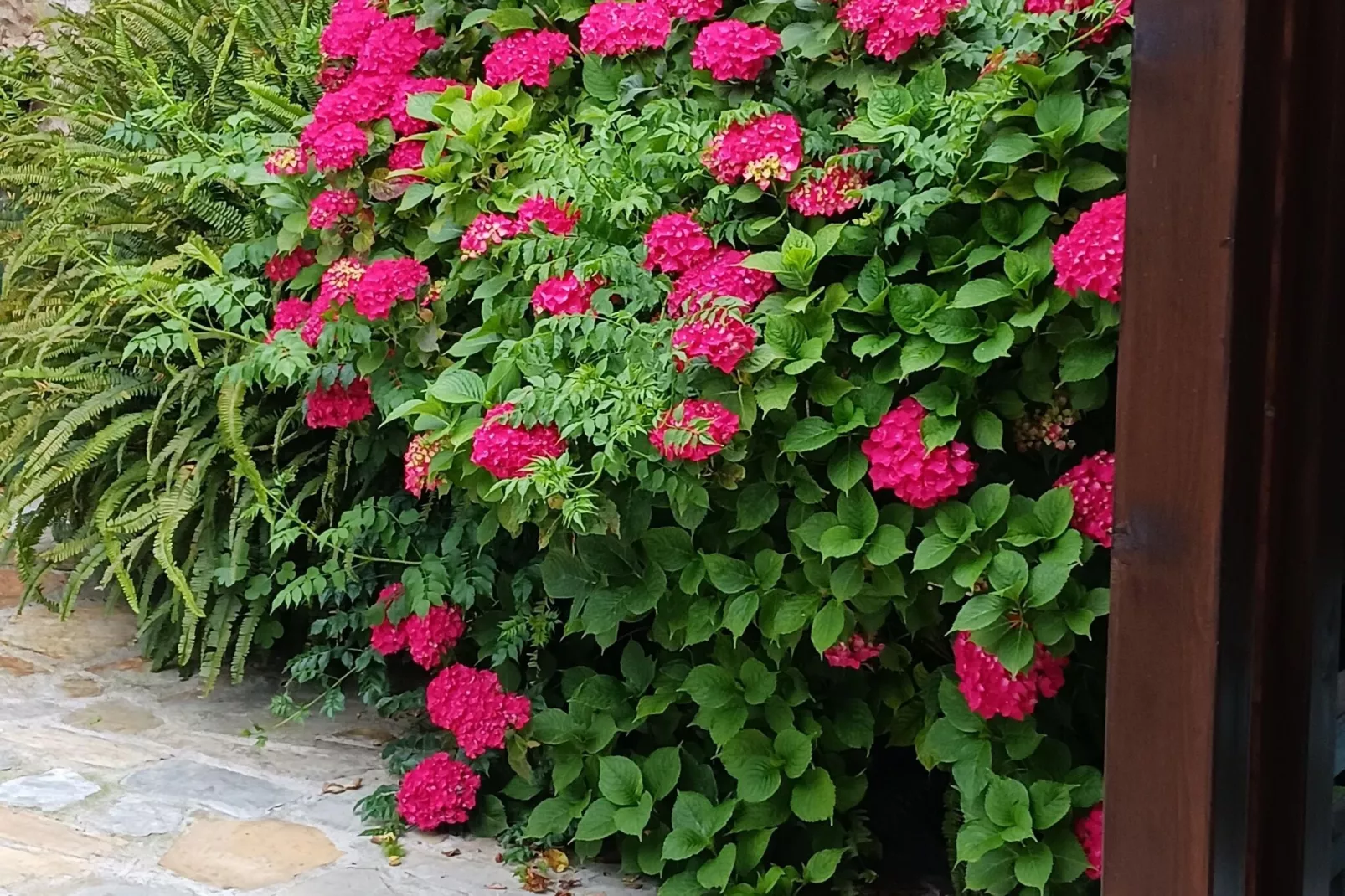The caprice of Ros Mery-Gardens summer